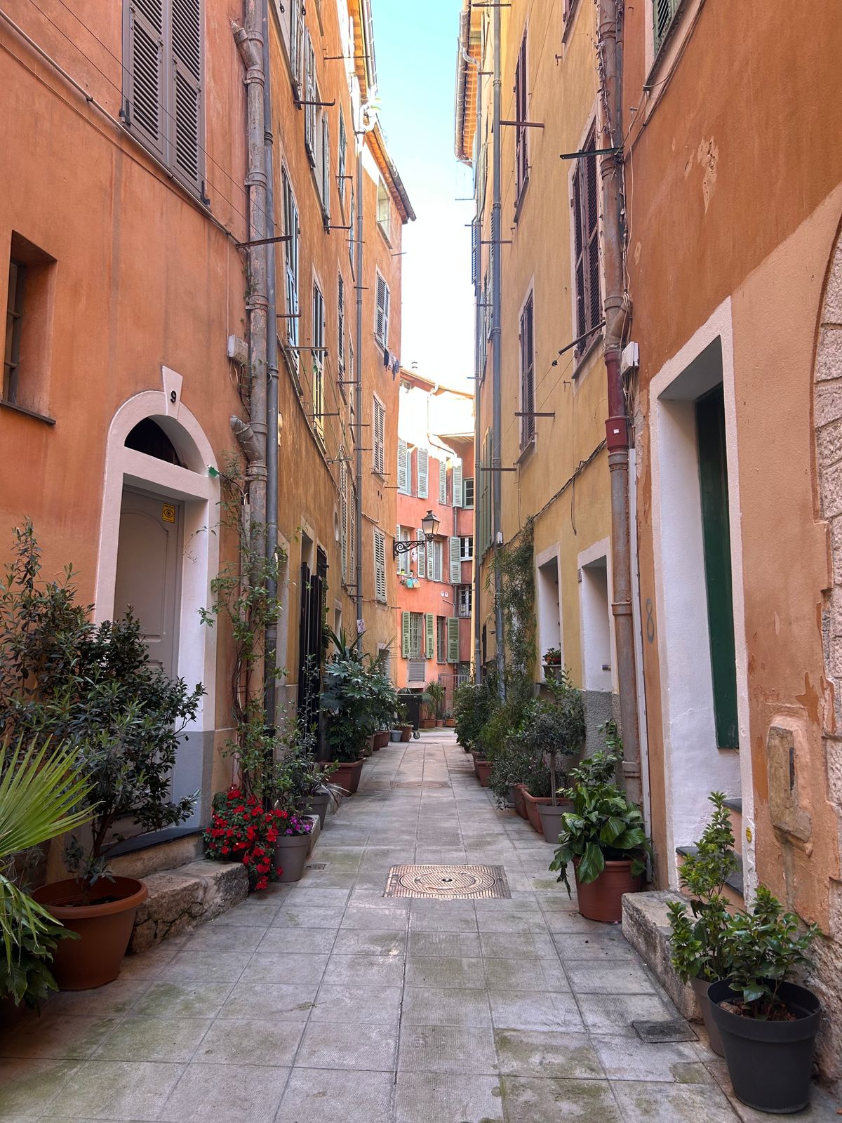 Une rue étroite du vieux Nice, façades ocre, volets verts et plantes en pot de part et d'autre des portes.